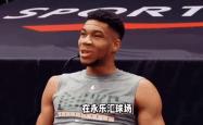 字母哥迎来七赛季出色发挥，加拿大队观众热烈欢呼！