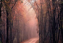 包含JackeyLove新星锐不可当表现突出，尤文图斯前途光明！的词条